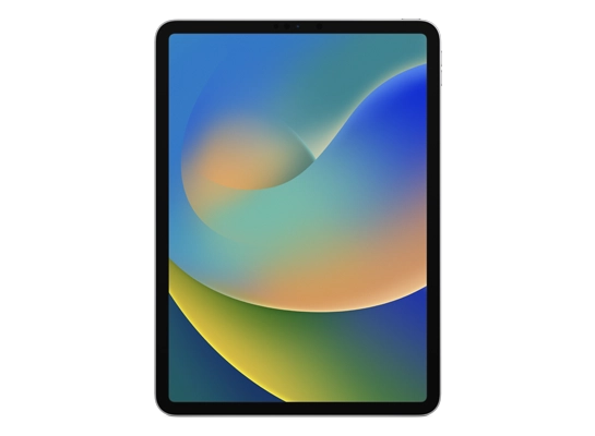 iPad Pro 11-inch (4th gen, WiFi)