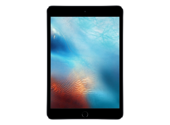 iPad mini 4 (Cellular)