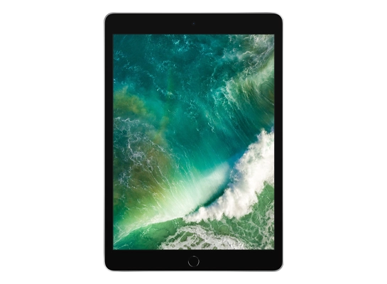 iPad (5th gen, WiFi)